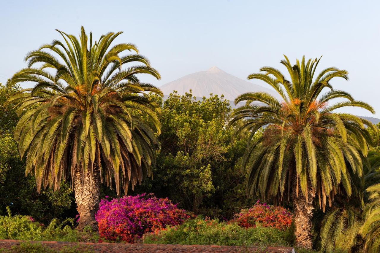 Apartment With Mount Teide And Sea Views Santa Úrsula Екстериор снимка
